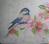 Chickadee 106