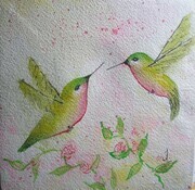 Hummingbird Fantasy18
