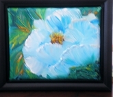 Blue Poppy
