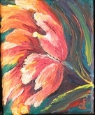 Parrot Tulip