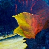 Backyard light,"" The Leaf ""