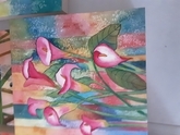 Canna Lily  A