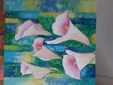 Canna Lily B