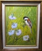 Chestnut Back Chickadee