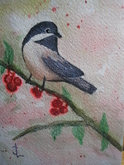 Chickadee 105