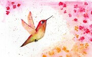 Hummingbird Fantasy 010