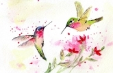 Hummingbird Fantasy 012
