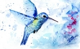 Hummingbird Fantasy 013