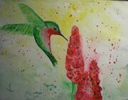 Hummingbird Fantasy 16