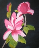 Magnolia for  You