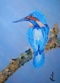 Kingfisher