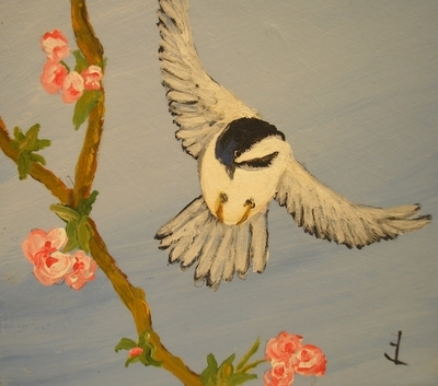 Chickadee  # 118