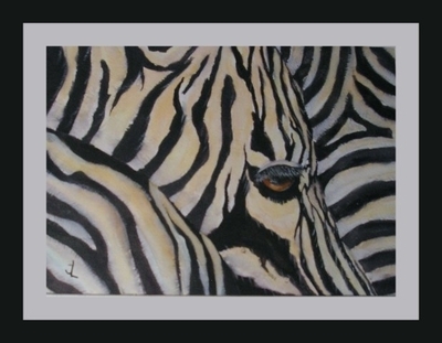 Zebra  1
